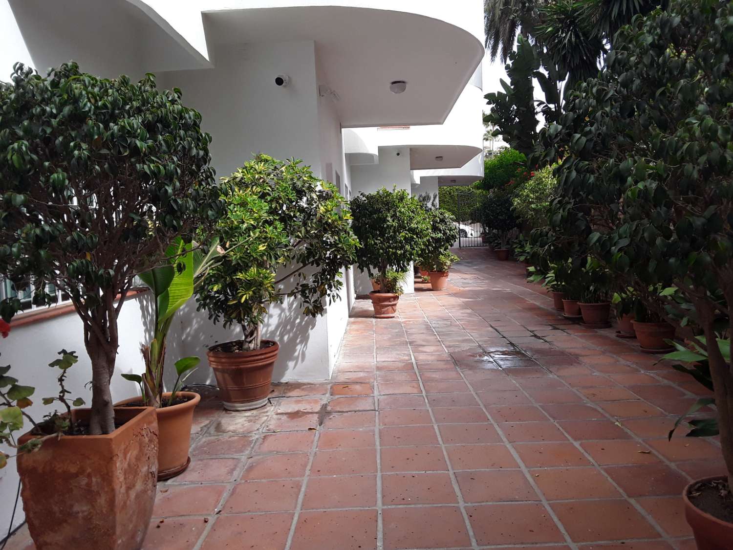 Appartement à louer avec jardin. Près de Puerto Banus, Marbella. Pas de frais de commission d’agence.